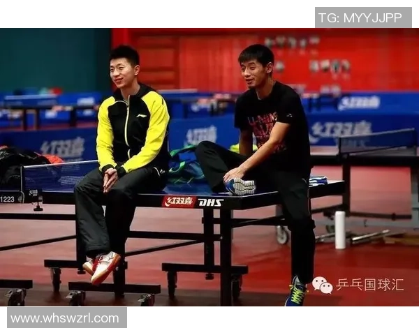 乒乓球深度解析西安乒乓球队的转型与发展之路