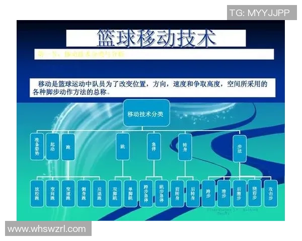 成都篮球队技术分析与战术探讨聚焦篮球发展新趋势 成都篮球队技术分析与战术探讨聚焦篮球发展新趋势