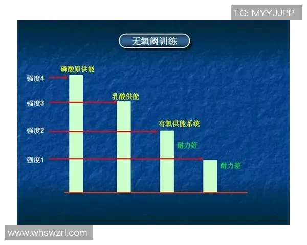 重庆羽毛球队进攻战术解析与训练方法深度剖析 重庆羽毛球队进攻战术解析与训练方法深度剖析