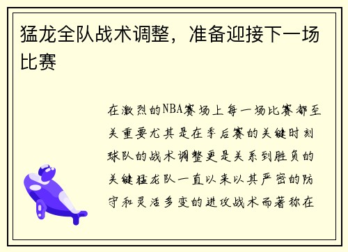 猛龙全队战术调整，准备迎接下一场比赛