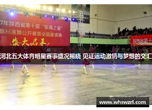 河北五大体育明星赛事盛况揭晓 见证运动激情与梦想的交汇